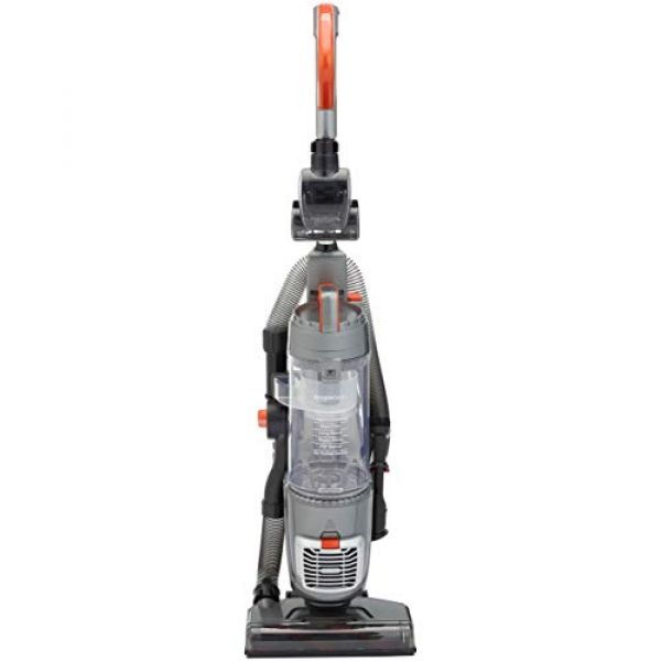 Bürstsauger von AmazonBasics